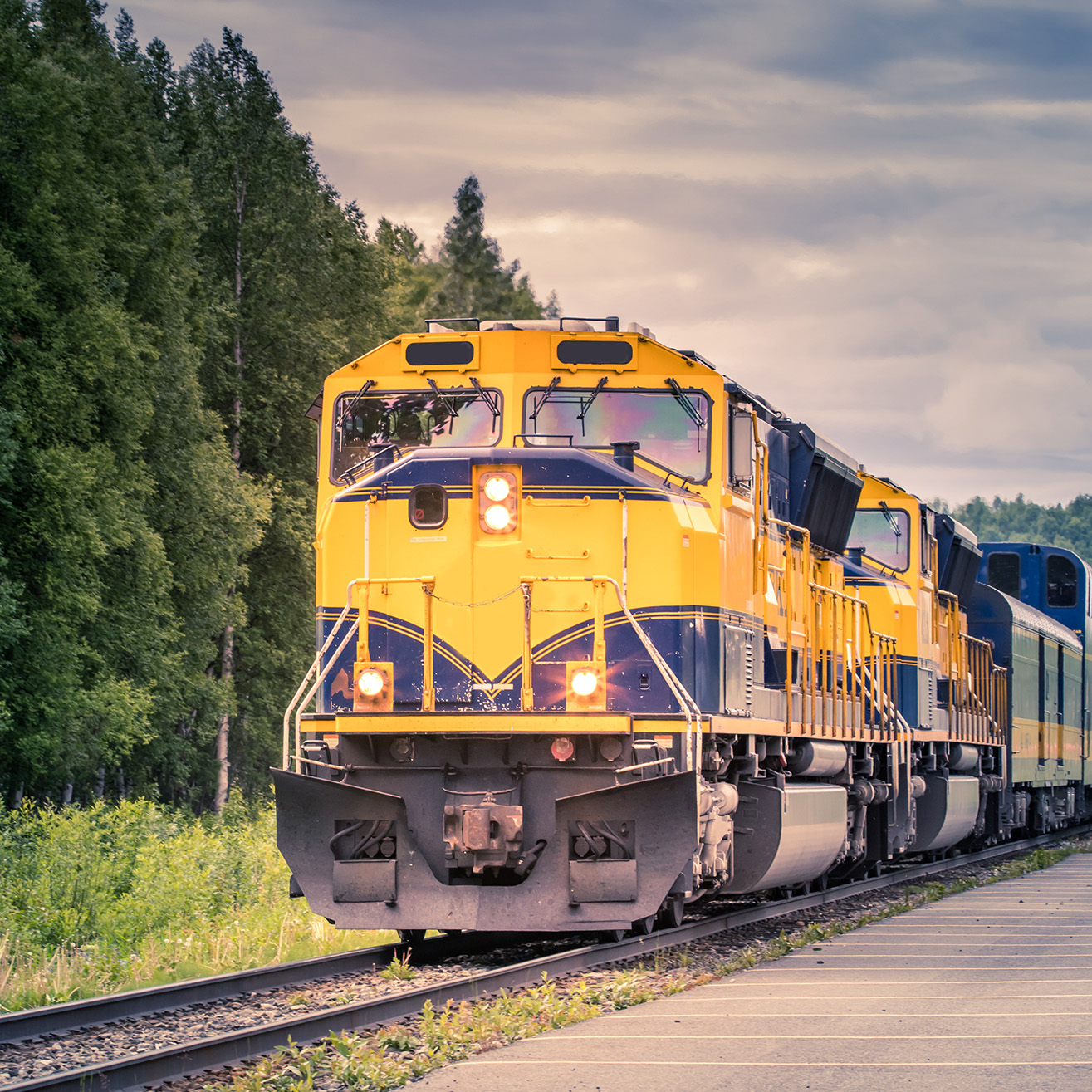 Alaska By Rail