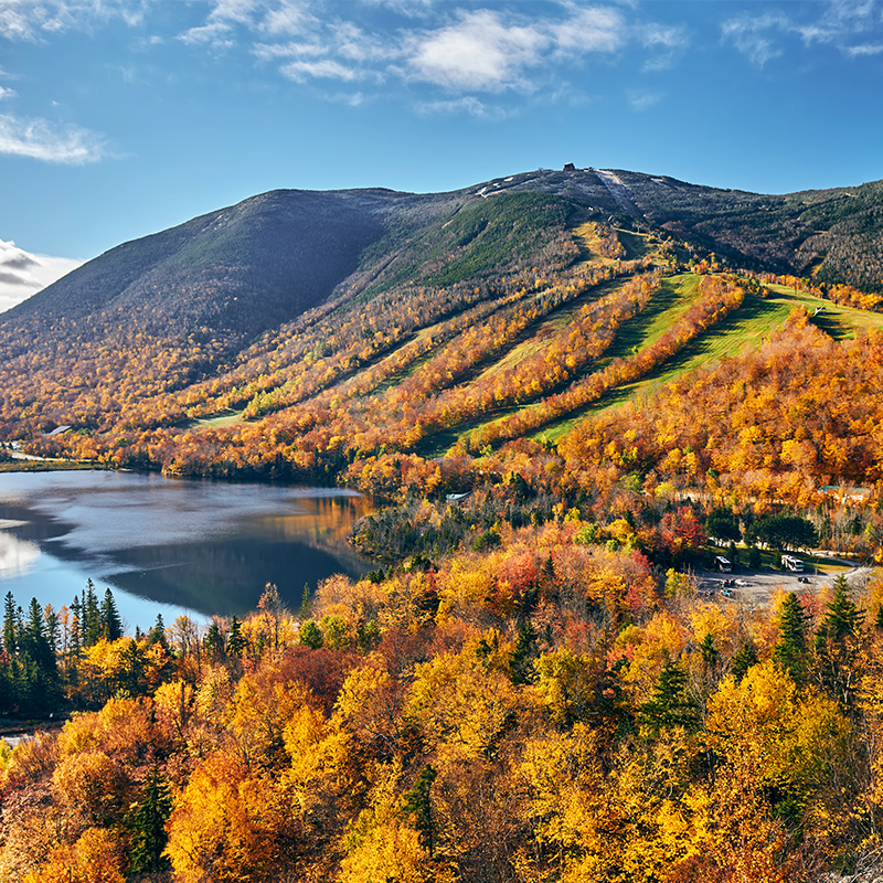 Colors of New England