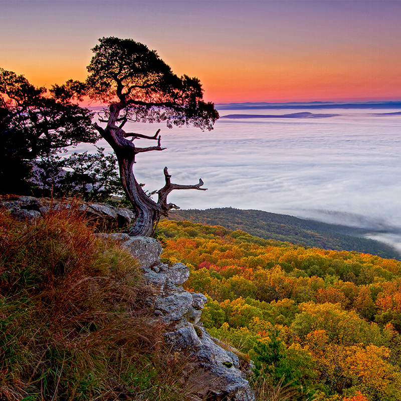 Autumn In Mount Magazine