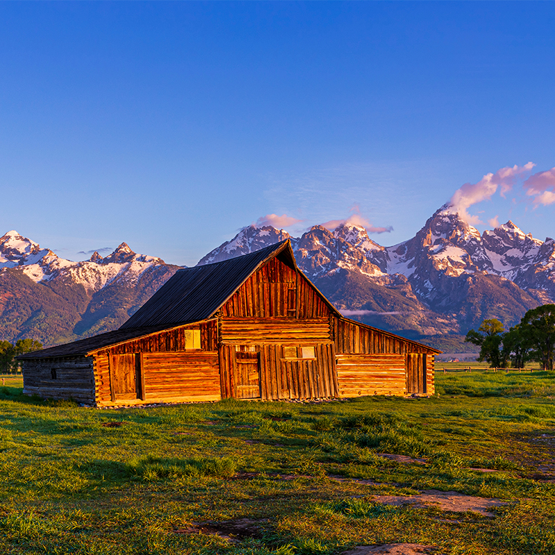 Yellowstone & Grand Teton