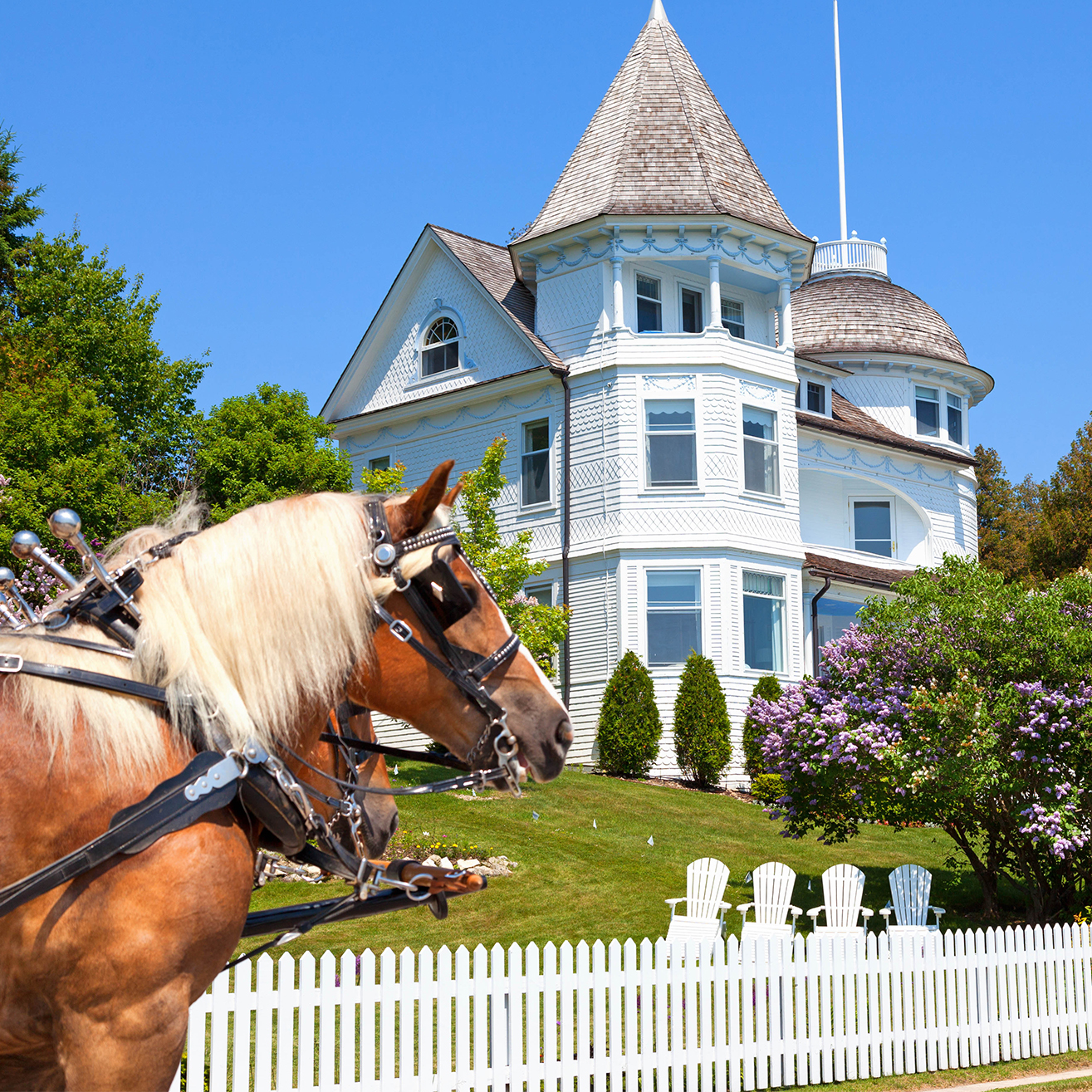 Lilacs & Lighthouses