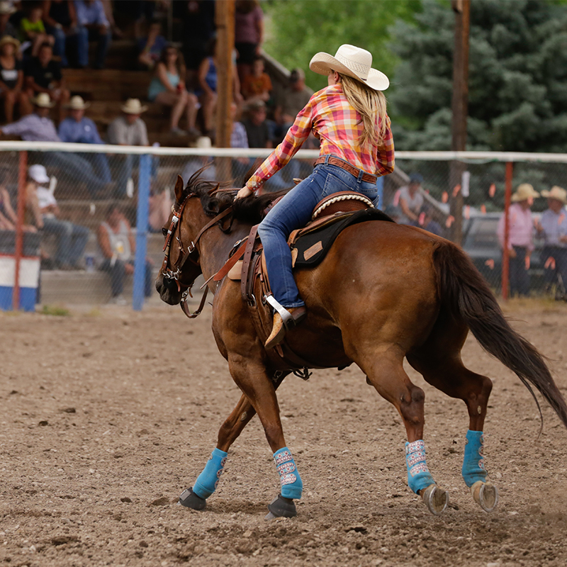 Calgary Stampede & Canadian Rockies