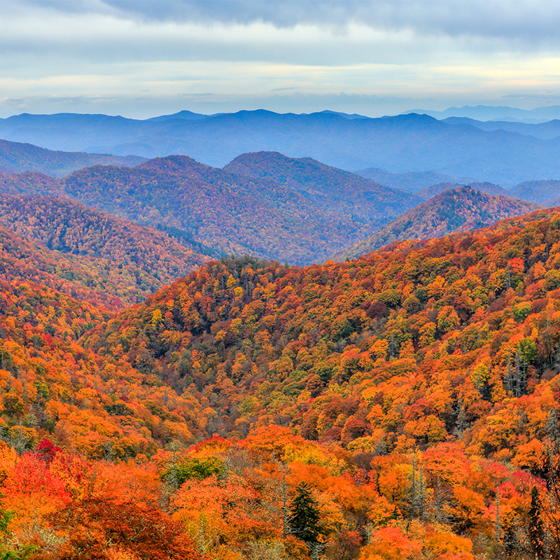 Smoky Mountain Legacy