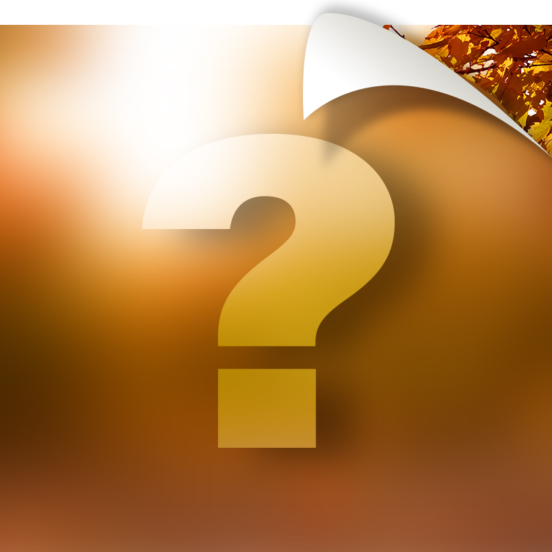 Fall Mystery