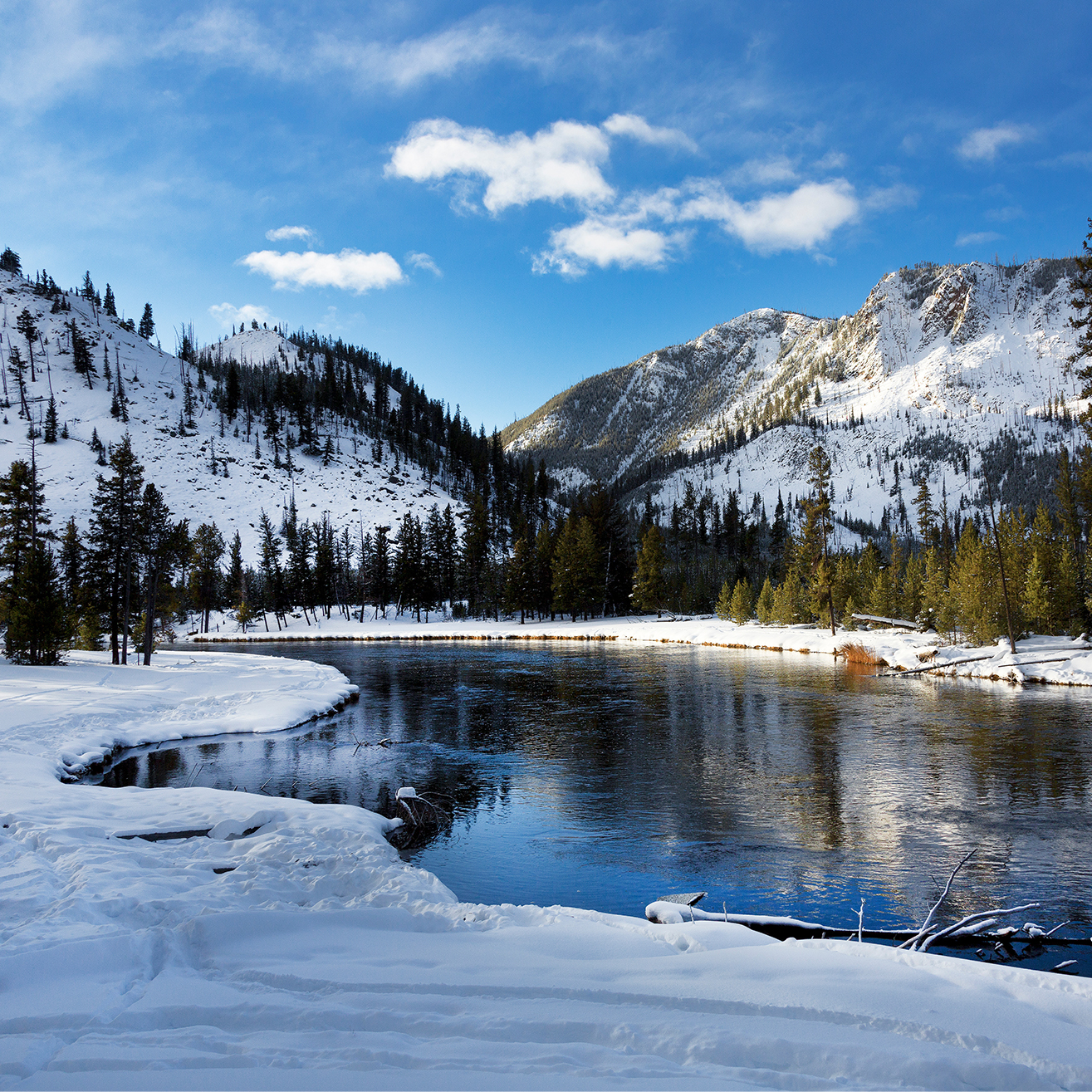 Yellowstone Winter Wonderland